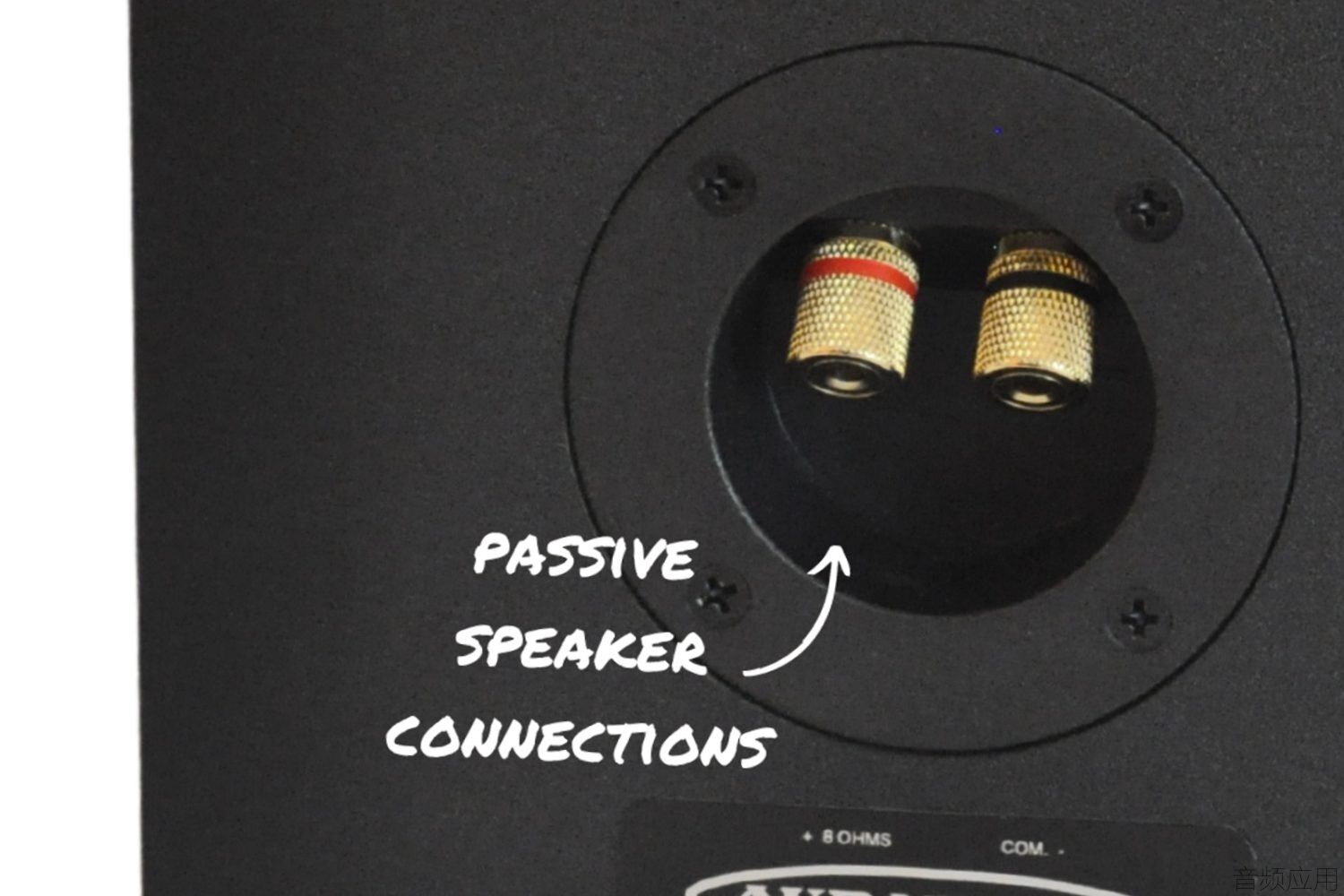 Passive-speaker-connections-1024x683.jpg