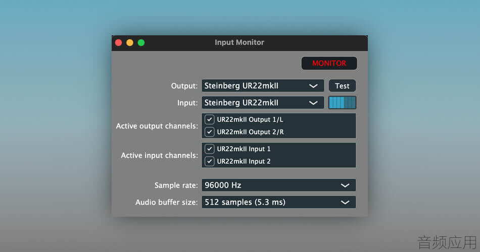Homegrown-Sounds-Input-Monitor.jpg
