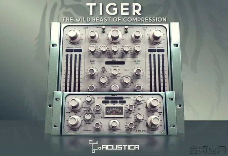 Acustica-Audio-Tiger.jpg.webp.jpg