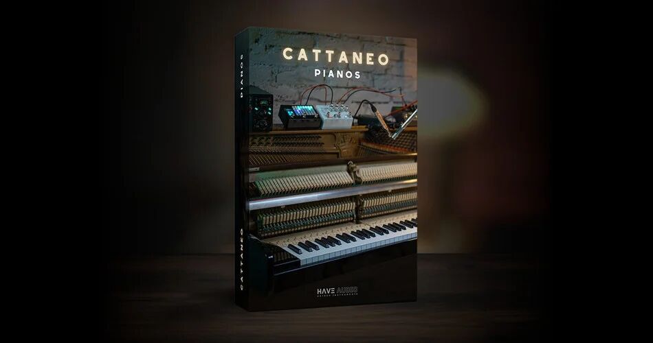 Have-Audio-Cattaneo-Pianos.jpg.webp.jpg