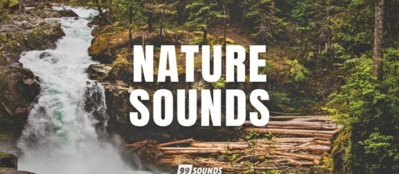 nature-sounds-yt-702x336.jpg