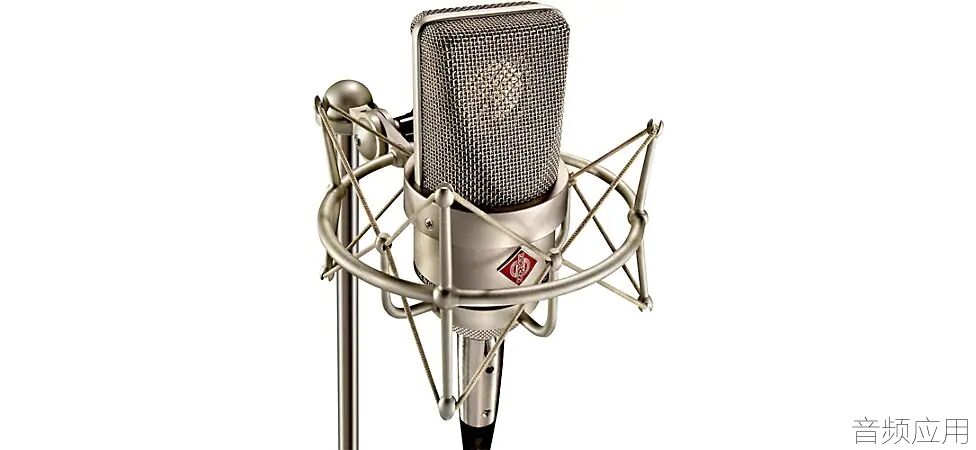 neumann-tlm-103-condenser-microphone.webp.jpg