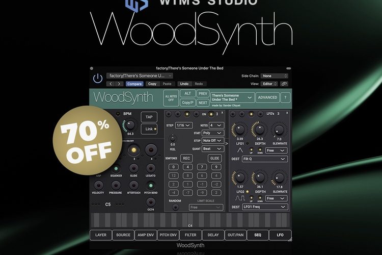 APD-WIMS-Studio-WoodSynth-750x500.jpg