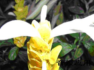 2d69c9604e6f09a602f35383542a99a5.jpg