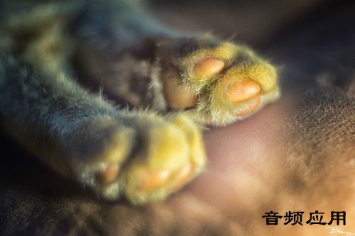 13551578_705347.jpg