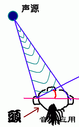 20050221053442362.gif
