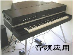 L_cp7016.jpg