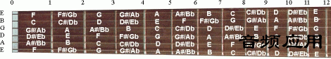 2008102017205077095.gif