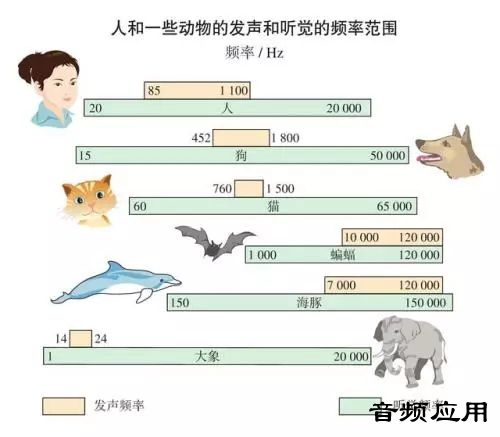 640.webp (5).jpg