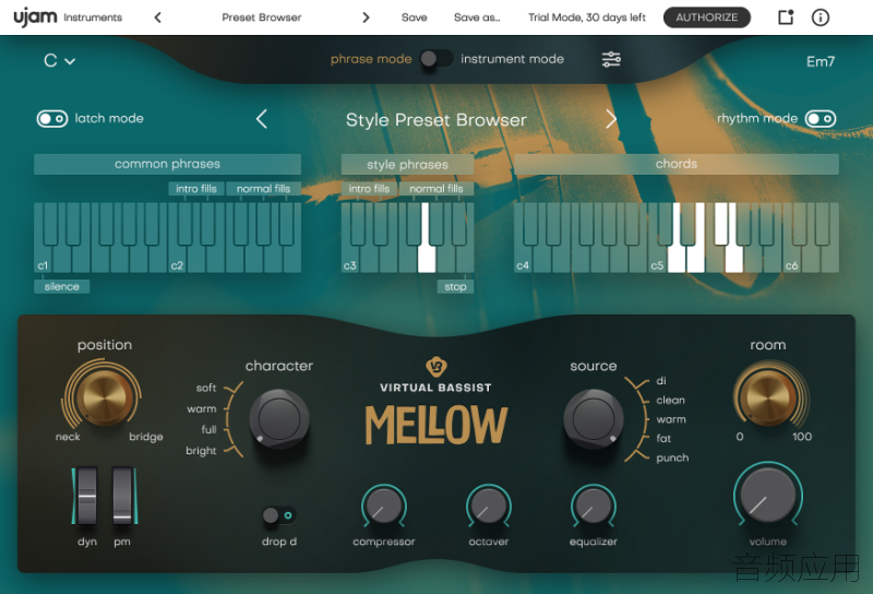 virtual_bassist_mellow_moc_1_1540281704.png