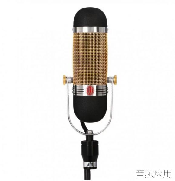 AE-Ribbon-Mic.jpg