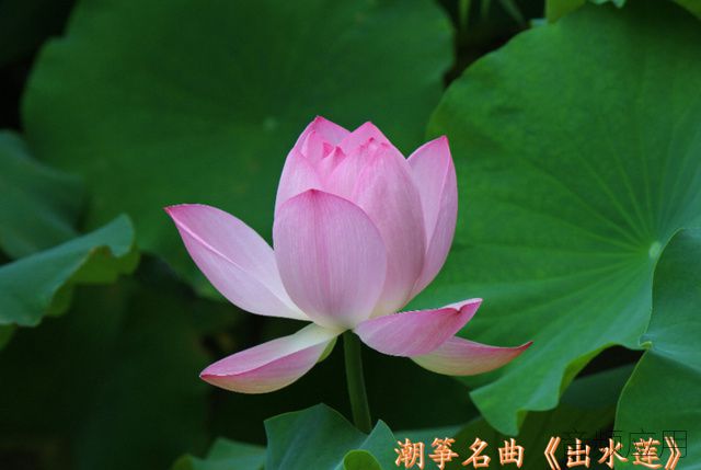 u=788992008,3200249523&amp;fm=173&amp;s=D42AF35AEE763E17132CB119030040D5&amp;w=640&amp;h.jpg