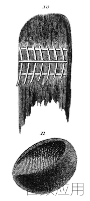 7172_1625428314_thumb.png
