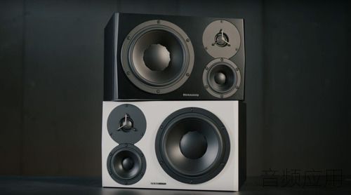 large (2).jpg
