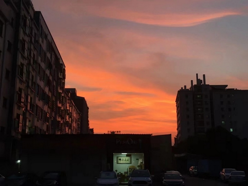 2021101442537861.jpg