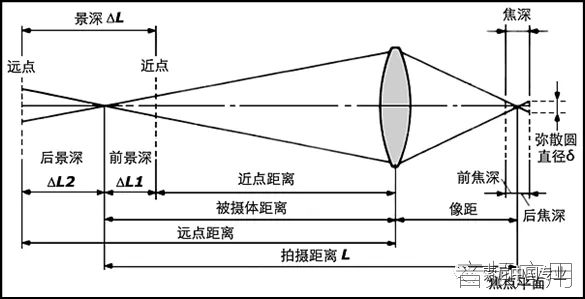 640.webp (6).jpg