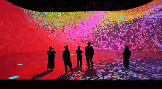 2022040736674065.gif