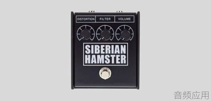 siber-hamster-702x336.webp.jpg