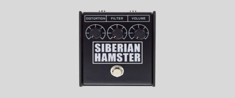 siber-hamster-702x336.webp.jpg