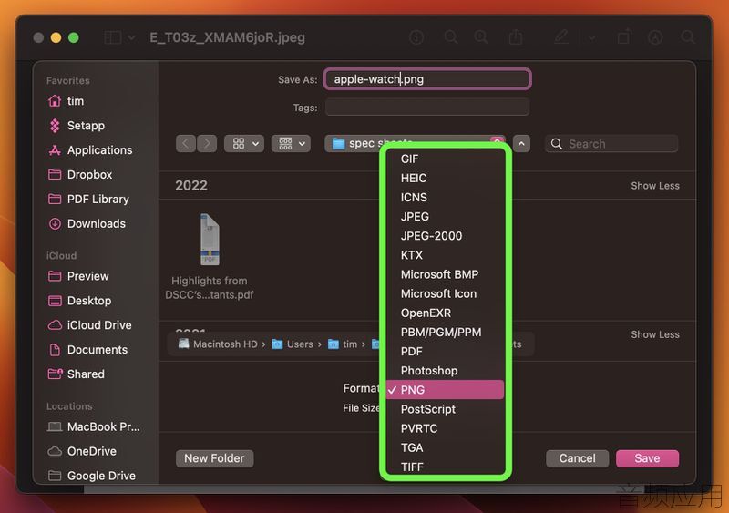 preview-save-format-options.jpg