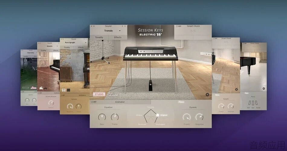 e-instruments-Session-Keys-sale.jpg.webp.jpg