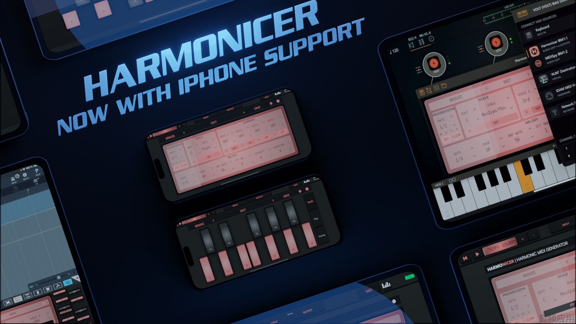harmonicer28.jpg