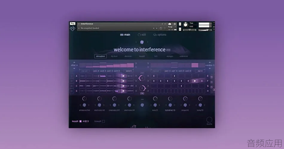 Rigid-Audio-Interference.jpg.webp.png