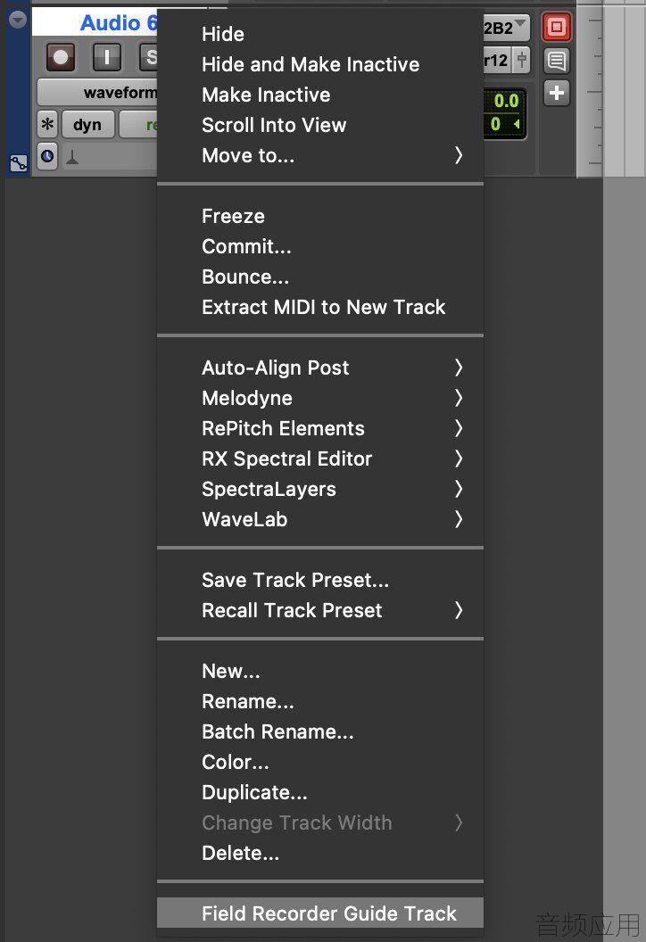 Designating a field recorder guide track.jpg