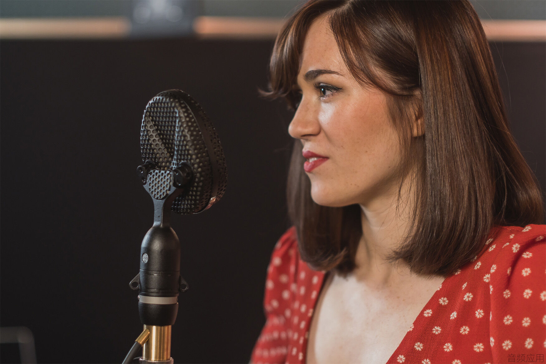 Ribbon-Mics-Under-1500.jpg