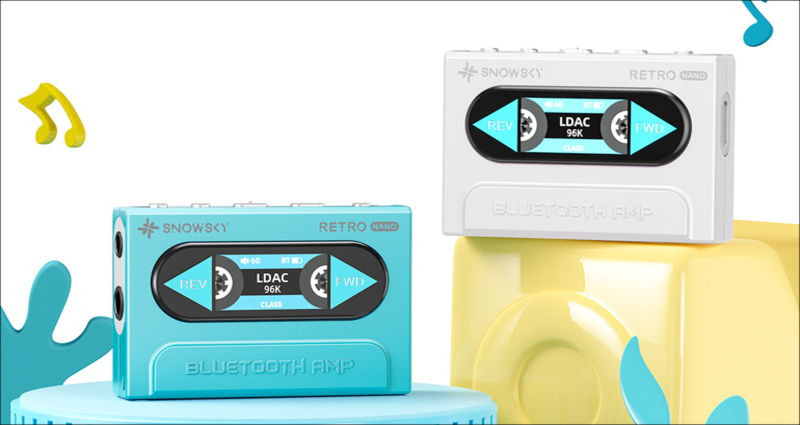 fiio-snowsky-retro-nano-770x425.jpg