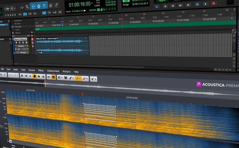 acoustica_ara_pro_tools_on_screen_with_name_medium_e90a24f53b.jpg