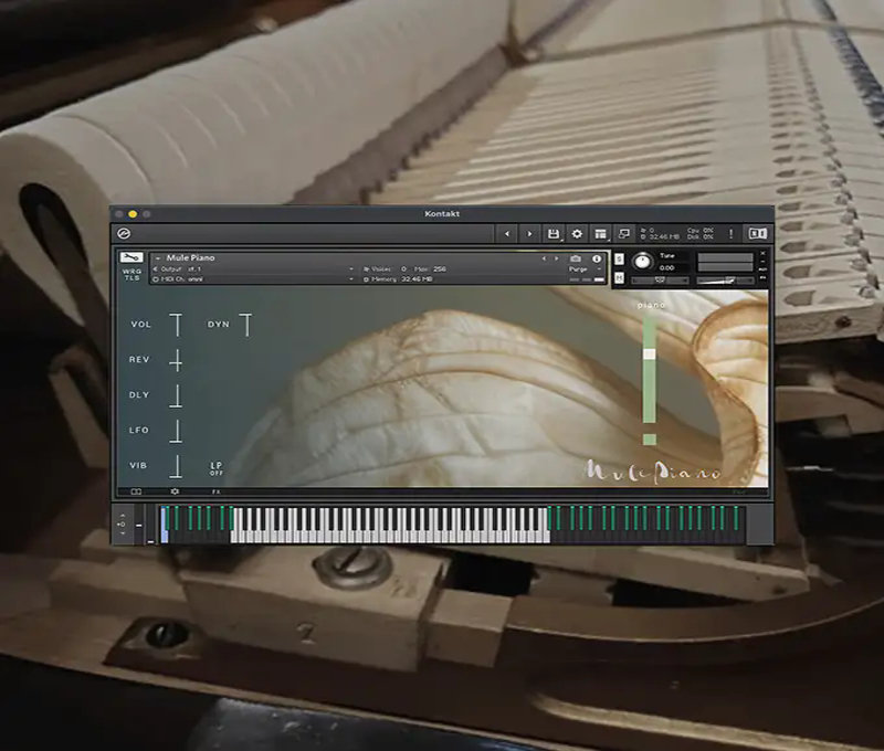 wt001005-piano-mule-sq-07-gui.webp.png