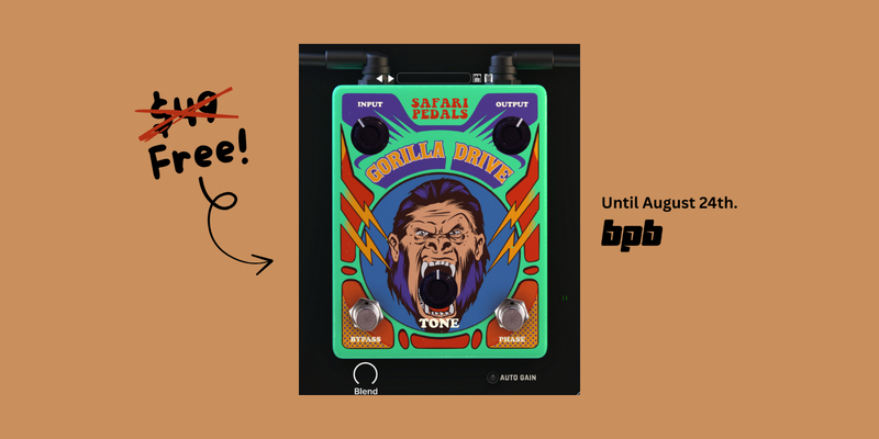 gorilla-drive-728x364.webp (1).png