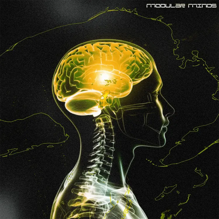 Touch-Loops-Modular-Minds-700x700.jpg.webp.png