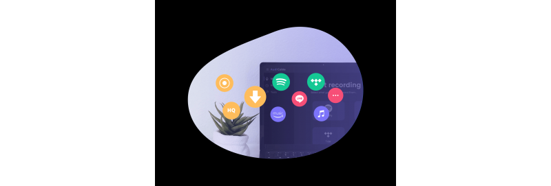 Mixhalo Raises $24 Million; Investors Include L-Acoustics